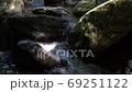 長崎県諫早市 富川渓谷 万年の森の風景 長崎県諫早市 富川渓谷 万年の森の風景 69251122