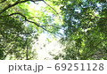 長崎県諫早市 富川渓谷 万年の森の風景 長崎県諫早市 富川渓谷 万年の森の風景 69251128