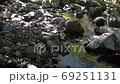 長崎県諫早市 富川渓谷 万年の森の風景 長崎県諫早市 富川渓谷 万年の森の風景 69251131