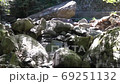 長崎県諫早市 富川渓谷 万年の森の風景 長崎県諫早市 富川渓谷 万年の森の風景 69251132