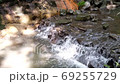 [東京] Todoroki峽谷[2020 4K] 69255729