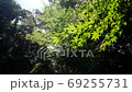 [東京] Todoroki峽谷[2020 4K] 69255731