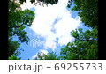 [東京] Todoroki峽谷[2020 4K] 69255733