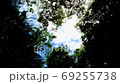 [東京] Todoroki峽谷[2020 4K] 69255738