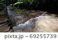 [東京] Todoroki峽谷[2020 4K] 69255739