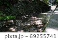 [東京] Todoroki峽谷[2020 4K] 69255741