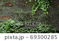 Heavy rain and puddle in the garden 69300285