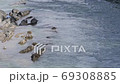 Kinokawa 69308885