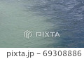 Kinokawa 69308886