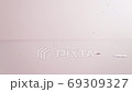 櫻花倒下 69309327