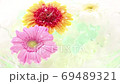 水面に浮かぶガーベラの花 69489321