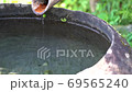 Mountain water poured into Tsukubai. 69565240