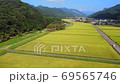 Light tigers run through the countryside and birds fly. 69565746