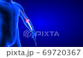 Elbow Pain close-up animation. Blue Human Anatomy Body 3D Scan render - seamless loop on blue background 69720367