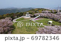 桜のアップからバックして上昇し公園を俯瞰 69782346