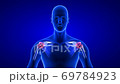 Shoulders Pain close-up animation - front view. Blue Human Anatomy Body 3D Scan render - seamless loop on black background 69784923