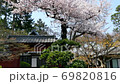 Cherry blossoms at Gotokuji 69820816