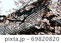 Cherry blossoms at Gotokuji 69820820