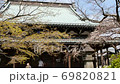 Cherry blossoms at Gotokuji 69820821