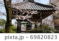 Cherry blossoms at Gotokuji 69820823