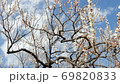 Meishi in Haneki Park 69820833