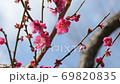 Meishi in Haneki Park 69820835