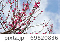 Meishi in Haneki Park 69820836