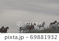 Horses Running In Slow Motion 69881932