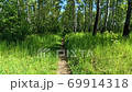 Footpath through park in spring. Green spring forest with path. Running along forest path. Walkway in the spring wood. Beautiful forest path among green trees and bushes 69914318