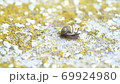 On a rainy morning, the snails are crawling on the concrete wall. 69924980