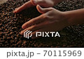 Coffee grains traditional expertise by checking texture, taste and scent by hands 70115969