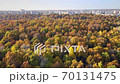 Autumn forest, Russia, aerial view 70131475