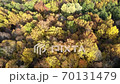 Autumn forest, Russia, aerial view 70131479