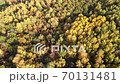 Autumn forest, Russia, aerial view 70131481