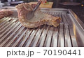 Piece of raw meat is turns with tongs on the grill net. Cooking unhealthy food. 70190441