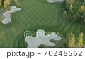 Golf courses in Russia, Moscow. Aerial view 70248562