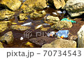 World Ocean Pollution, Garbage in Water 70734543