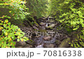 River with many small waterfalls in the forest. Stream running fast between large stones surrounded by trees. Steadicam slow motion shot 70816338