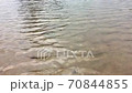 Ripples on the surface of the lake / pond heading towards the cameraman 70844855