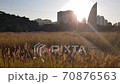 Autumn sky sunset and cosmos 70876563