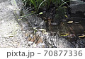 Water flow　 70877336