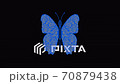 4K video animation of butterfly. Beauty Golden Butterfly decorated folk traditional ornament  in blue.  70879438