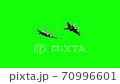 Jet fighters 70996601