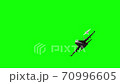 Jet fighters 70996605
