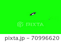 Flying saucers 70996620