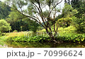Small river 70996624