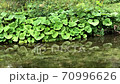 Small river 70996626