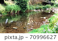 Small river 70996627