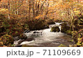 Oirase Gorge with autumn leaves 71109669
