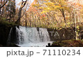 Choshi Otaki 71110234